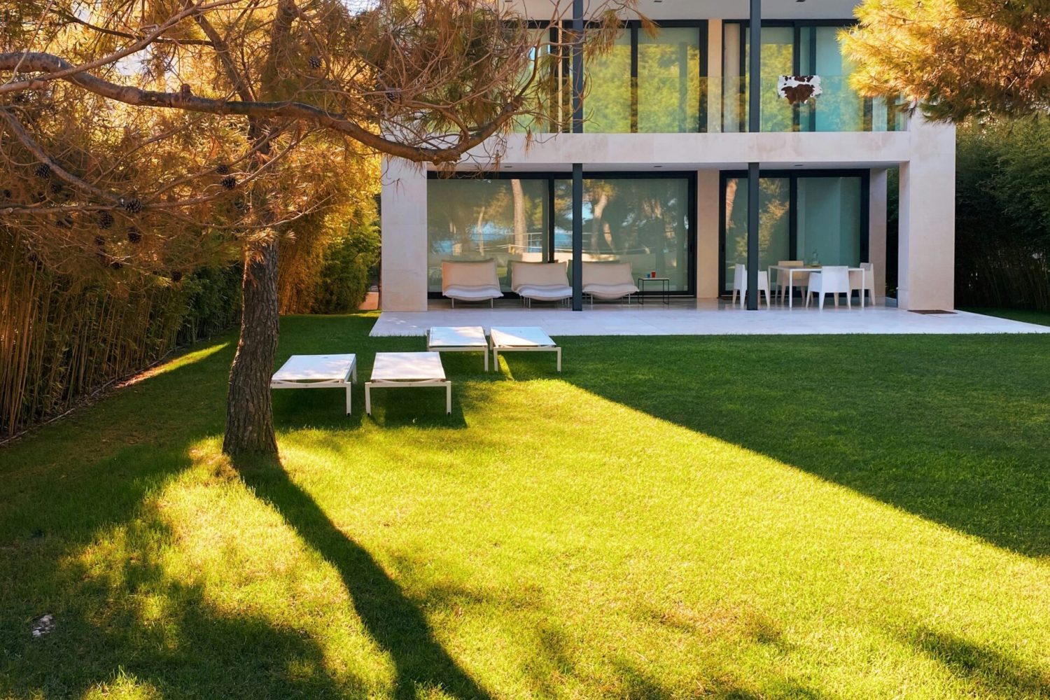 alejandra-cifre-gonzalez-5nYLmG1m5lw-unsplash